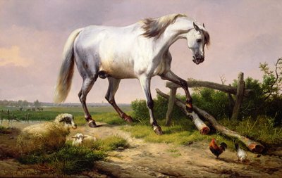 Siwy ogier z owcami i drobiem autorstwa Eugene Joseph Verboeckhoven