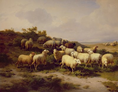Owce na wybrzeżu, 1878 autorstwa Eugene Joseph Verboeckhoven