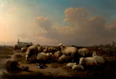 Owca autorstwa Eugene Joseph Verboeckhoven