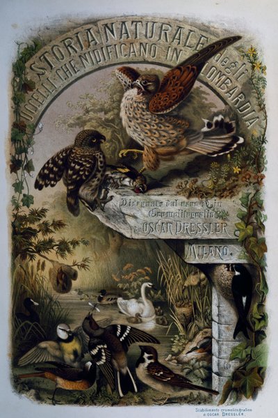 Strona tytułowa Historii naturalnej ptaków gniazdujących w Lombardii, Eugenio Bettoni (1845-1898), rycina Oscar Dressler, Włochy autorstwa Eugenio Bettoni, Oscar Dressler