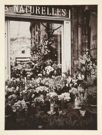 Kwiaciarnia -37 (Kwiaciarnia) autorstwa Eugène Atget