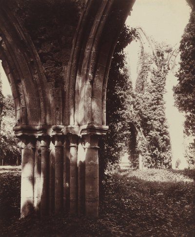 Dammarie-les-Lys, ruiny autorstwa Eugène Atget