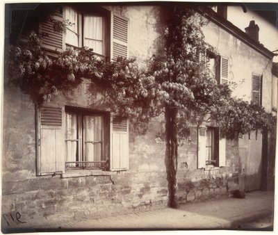 Glicyna (Wisteria), Châtillon autorstwa Eugène Atget