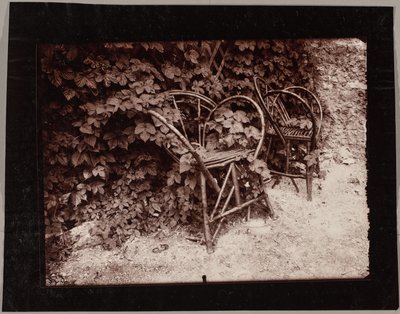Chmiel autorstwa Eugène Atget