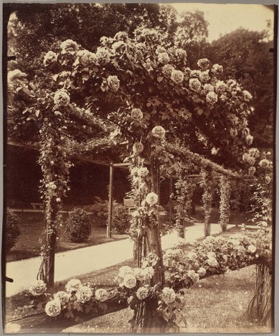 [Jardin de Bagatelle] autorstwa Eugène Atget