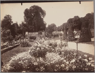 Saint-Cloud autorstwa Eugène Atget