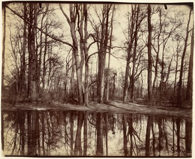 Saint-Cloud autorstwa Eugène Atget