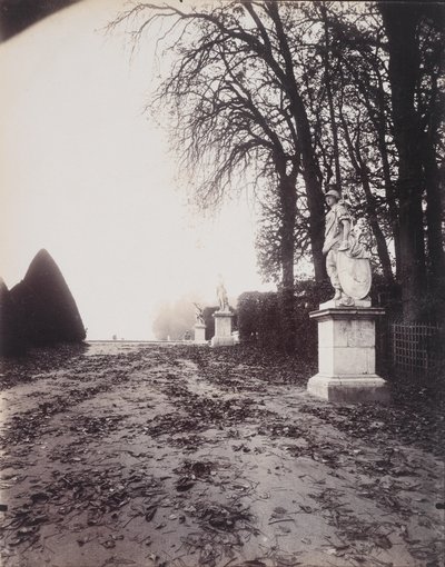 Wersal, Allee des Trois Fontaines, ok. 1906 (odbitka chlorku złota) autorstwa Eugène Atget