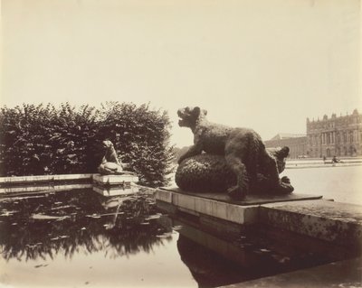 Wersal, Fontaine du Point du Jour, Tygrys zabijający niedźwiedzia autorstwa Houzeau, 1903. autorstwa Eugène Atget