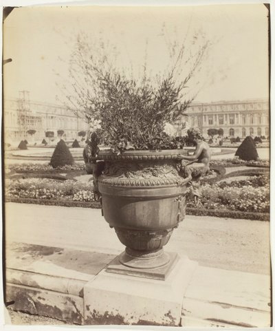 Wersal, Wazon Ballina, 1902. autorstwa Eugène Atget