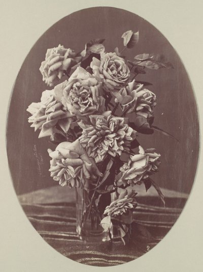 [Róże], ca. 1875. autorstwa Eugène Chauvigné