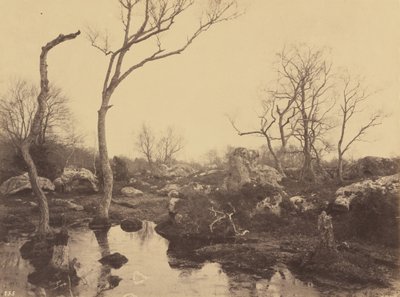 Piękny Krzyż, ok. godz. 1858. autorstwa Eugène Cuvelier