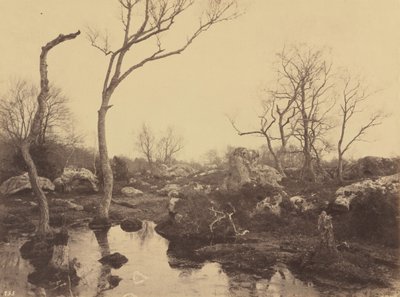 Belle Croix, ok. 1858 r. (zdjęcie) autorstwa Eugène Cuvelier