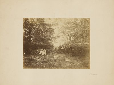 [Studium krajobrazu] autorstwa Eugène Cuvelier