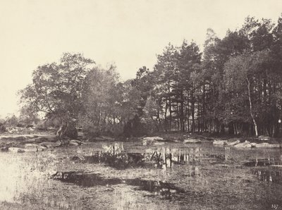 Bagno na płaskowyżu Piat Belle-Croix, c. 1863. autorstwa Eugène Cuvelier