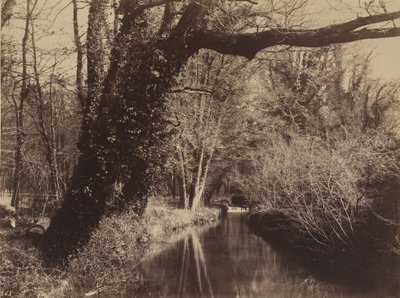 Park Courances autorstwa Eugène Cuvelier