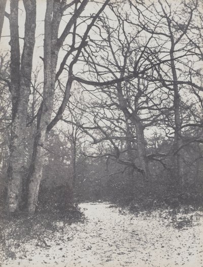 Droga w lesie, 1860-1863. autorstwa Eugène Cuvelier
