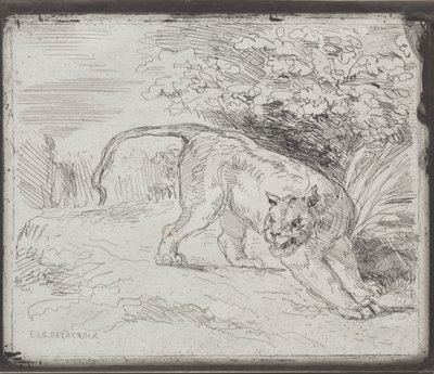 Uwięziony tygrys autorstwa Eugène Delacroix