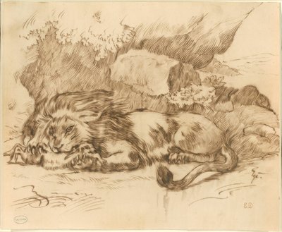 Lew pożerający królika autorstwa Eugène Delacroix