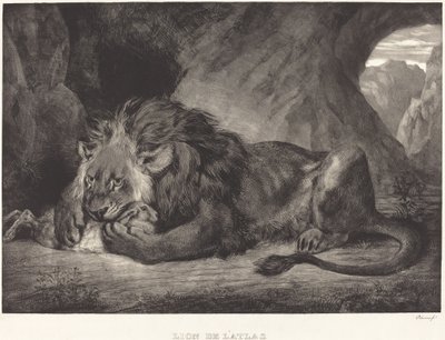 Lew z gór Atlas Lew z Atlasu, 1829. autorstwa Eugène Delacroix