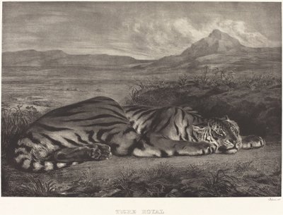 Królewski Tygrys (Tygrys Królewski) autorstwa Eugène Delacroix