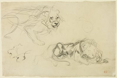 Studia Lwów autorstwa Eugène Delacroix