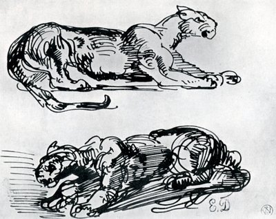 Studia Panter, 1913 autorstwa Ferdinand Victor Eugene Delacroix
