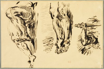Studium ramion i nóg Chrystusa Ukrzyżowanego autorstwa Eugène Delacroix