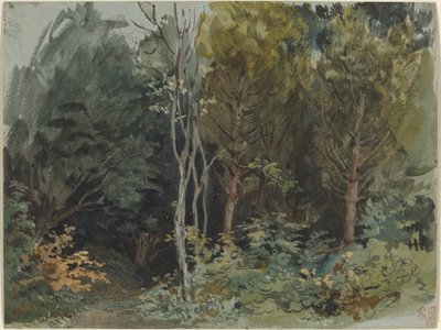 Skraj lasu w Nohant, c. 18421843. autorstwa Eugène Delacroix