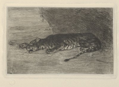 Tygrys leżący przy wejściu do swojej kryjówki, ca. 1828-30., ca. 1828-30. autorstwa Eugène Delacroix