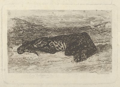 Tygrys leżący na pustyni, 1846., 1846 . autorstwa Eugène Delacroix