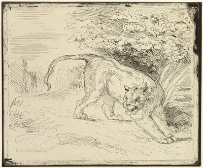 Tygrys gotowy na wiosnę autorstwa Eugène Delacroix
