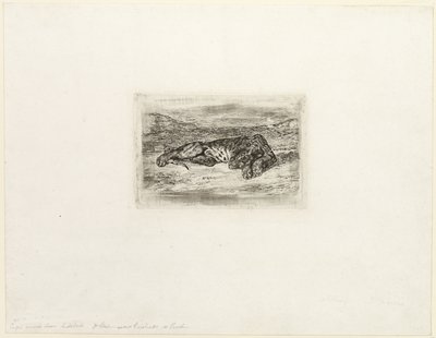 Tygrys odpoczywający na pustyni autorstwa Eugène Delacroix