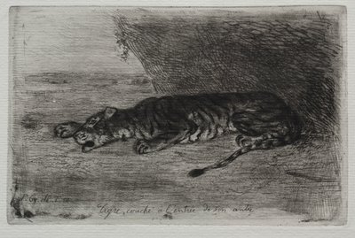 Tygrys śpi przy wejściu do swojej kryjówki autorstwa Eugène Delacroix