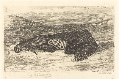 Tygrys śpiący na pustyni autorstwa Eugène Delacroix