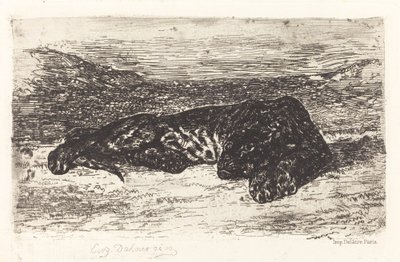 Tygrys śpiący na pustyni, c. 1830. autorstwa Eugène Delacroix