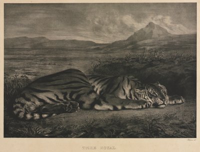 królewski tygrys autorstwa Eugène Delacroix