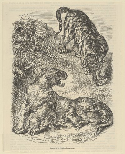 Tygrysica zaatakowana przez tygrysa podczas karmienia młodych, 1853., 1853. autorstwa Eugène Delacroix