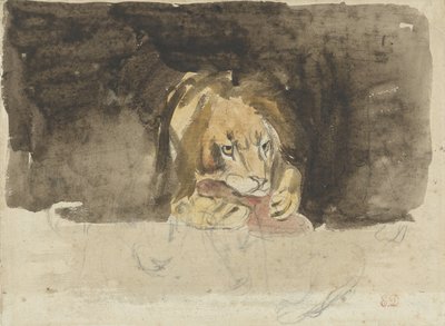 Mięsożerny lew widziany z przodu, wychodzący na ciemnym tle autorstwa Eugène Delacroix