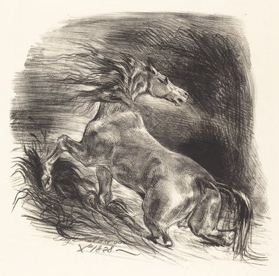 Dziki koń wychodzący z wody (cheval sauvage) autorstwa Eugène Delacroix