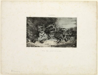 Młody tygrys bawi się z matką autorstwa Eugène Delacroix