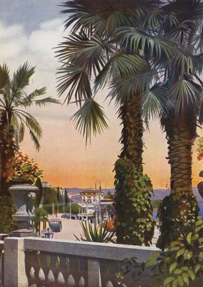 Opatija, obecnie Opatija w Chorwacji: Widok na palmy z Hotelu Bellevue (zdjęcie) autorstwa European Photographer