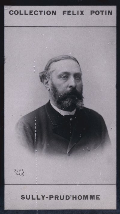 Armand Sully Prudhomme (1839) (zdjęcie czarno-białe) autorstwa European Photographer