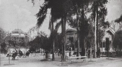 Brazylia: San Paolo, Jardim da Luz (zdjęcie czarno-białe) autorstwa European Photographer
