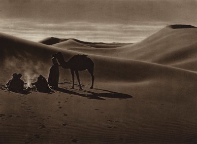 Wieczór na pustyni (zdjęcie czarno-białe) autorstwa European Photographer