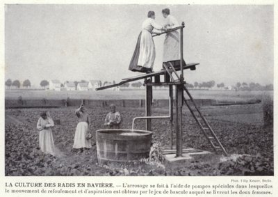 Kultura rzodkiewki w Bawarii (zdjęcie czarno-białe) autorstwa European Photographer