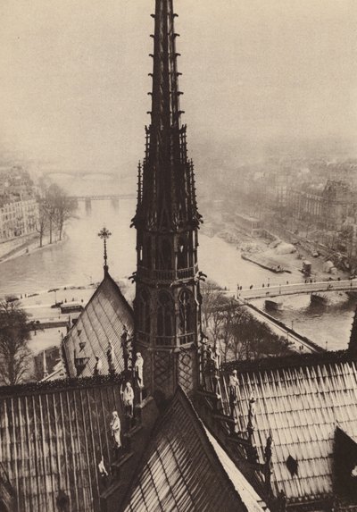 Paryż: La fleche de Notre-Dame vue des tours; Iglica Notre-Dame widziana z wież (zdjęcie czarno-białe) autorstwa European Photographer