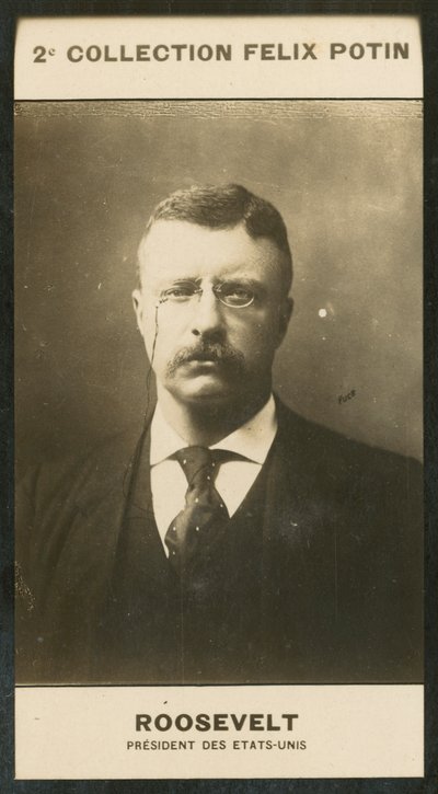 Theodore Roosevelt, Prezydent Stanów Zjednoczonych autorstwa European Photographer