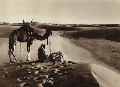 Oddawanie czci na pustyni (zdjęcie czarno-białe) autorstwa European Photographer