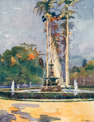 Część Alei Palm Królewskich, Ogród Botaniczny (kolorowa litografia) autorstwa European School